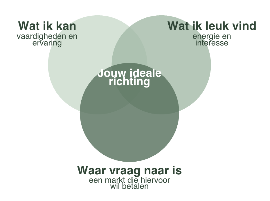 Cirkelfiguur: wat ik kan, wat ik leuk vind en waar vraag naar is komen samen in jouw ideale richting